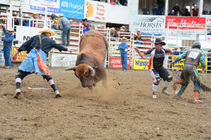 Prfessional Rodeo - Daines Ranch 2015