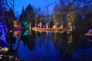 Christmas Reflections 1 at Van Deusen Gardens 2012-12-30 - Colin M Stevens