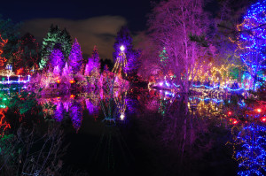 Christmas Reflections 2 at Van Deusen Gardens 2012-12-30 - Colin M Stevens