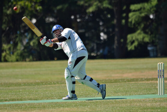 Cricket 2013-07-20 Richmond BC