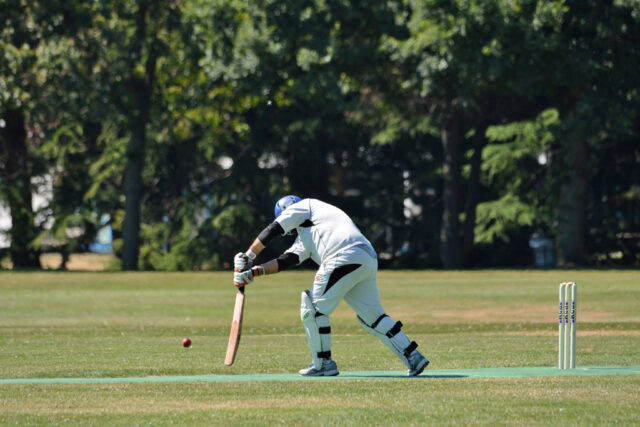 Cricket 2013-07-20 Richmond BC