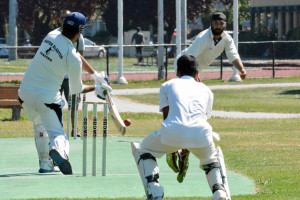 Cricket 2013-07-20 Richmond BC