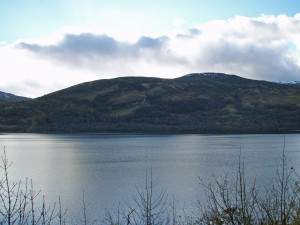 Loch Rannoch south shore which has the Black Woods.