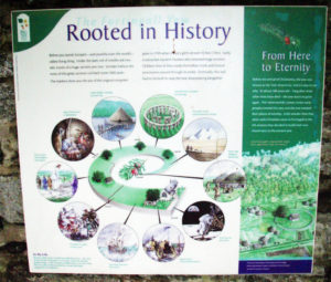 Display label for ancient yew tree in Fortingall Churchyard. Photo by CMS