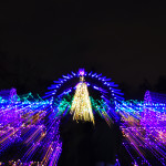 Christmas Archway Van Deusen Gardens 2012-12-30 - Colin M Stevens