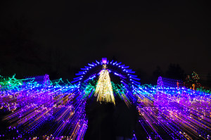 Christmas Archway Van Deusen Gardens 2012-12-30 - Colin M Stevens