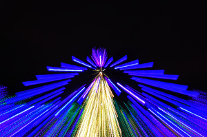 Christmas Tree at Van Deusen Gardens 2012-12-30 - Colin M Stevens