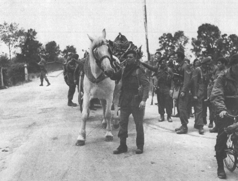 BSA_Commando_1 Bde_France_horse (2)