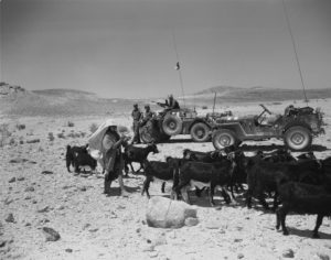 Ferret 54-82527 UNEF1231, still in green paint, alongside an M38 jeep with a young goat herder and goats in foreground. Photo ME-732