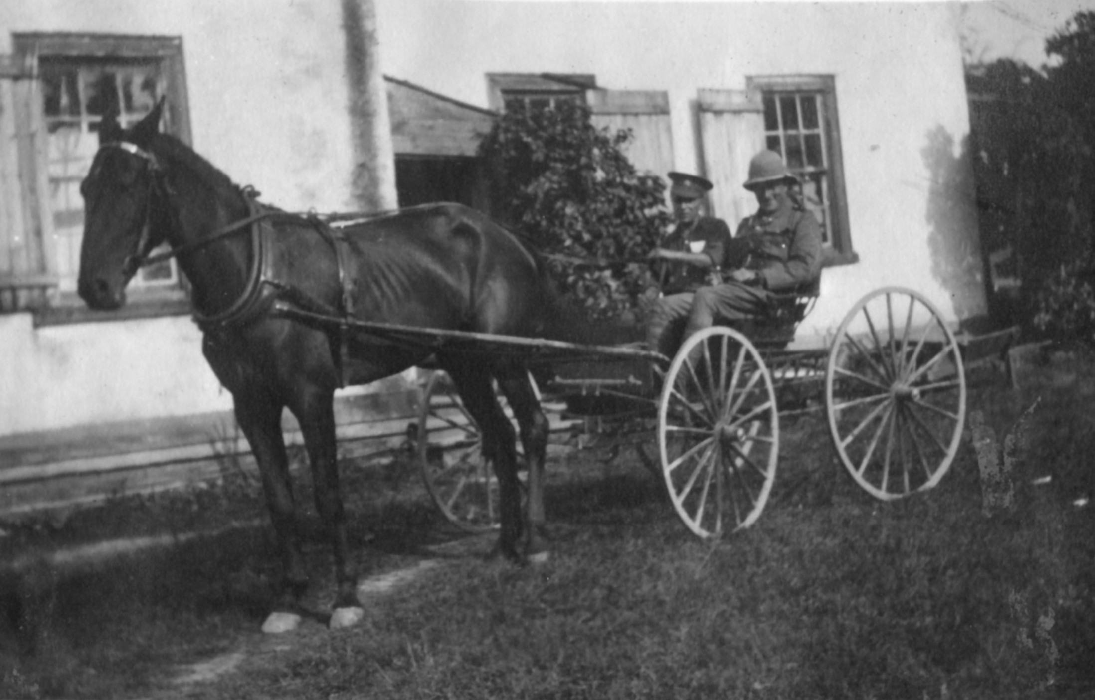 Photo of horse pulling a wagon with two soldiers in it. 