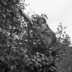1944-10-09 Cpl. B. B. Arnold, sniper of the Scout Platoon of the Queen's Own Cameron Highlanders of Canada at Fort de Brasschaat, Belgium (L&AC MIKAN 3409534)
