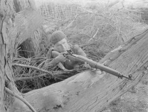 Soldier with rifle behind a large tree branch. 1942 approx Sniper in training in UK with P-14 with target sights. (L&AC MIKAN 3607526)