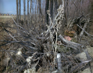 Side view of sniper hidden in brush. 1970 approx FNC1 or C1A1 w C1 scope sniper Training, Camp Ipperwash Ontario (L&AC MIKAN 4235659)