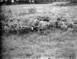 Sniper Lovat Scouts Bisley Surrey 9 JULY 1940 © IWM (H 2144)