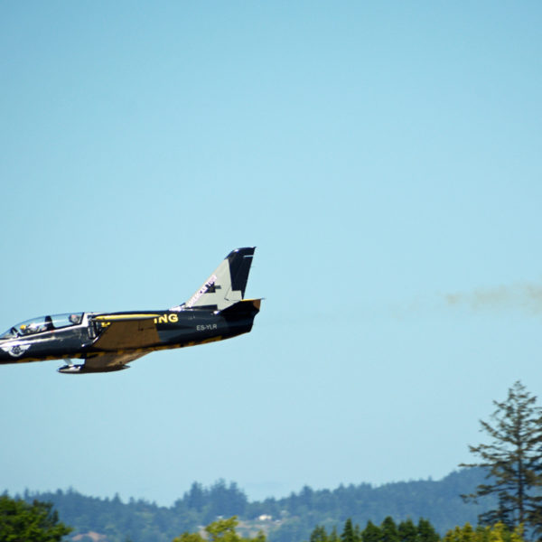 Hillsboro Air Show, near Portland, OR, USA