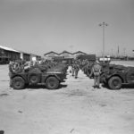 Ferret Scout Cars lined up in Egypt.