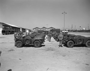 Ferret Scout Cars lined up in Egypt.