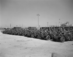 Canadian Ferret Scout Cars lined up in Egypt.