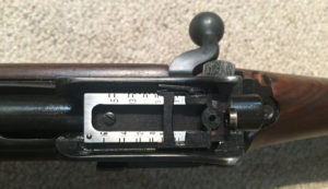 M1917 Winchester rear sight.