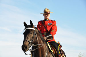 RCMP Musical Ride Officer in 2013