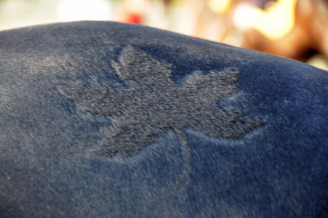 RCMP Muscical Ride 2013 Maple Leaf brushed onto horse