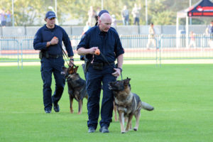 Police dog handlers with their dogs. (D7100a 007)