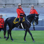 The Officer Commanding the Musical Ride entering the stadium grounds. on his black horse. (D7100a 232)