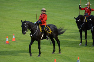 The Officer Commanding the Musical Ride on his black horse with his sword drawn. (D7100a 240)