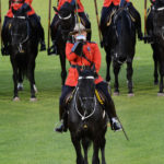 The Officer Commanding the Musical Ride gives a salute with his sword. (D7100a 246)