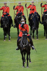 The Officer Commanding the Musical Ride gives a salute with his sword. (D7100a 246)