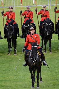 The Officer Commanding the Musical Ride gives a salute with his sword. (D7100a 247)