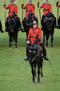 The Officer Commanding the Musical Ride gives a salute with his sword. (D7100a 250)