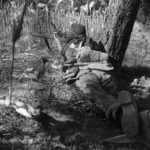 Sniper in corn field from rear MIKAN3607688