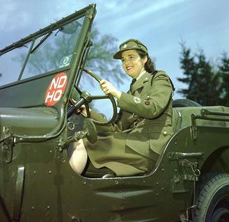 CWAC driving a Canadian Contract Willys W-LU 400-M-PERS-1 car 5 Cwt (jeep) in National Defence Headquarters markings (NDHQ) markings, Ottawa area circa 1942-1945