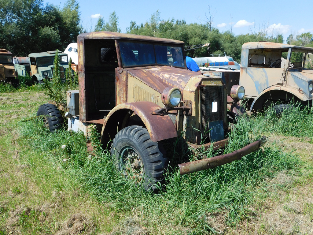 Derelict truck sitting in tall grass.