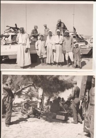 McNicholl Ferret photos – 2 pics Arabs and shade